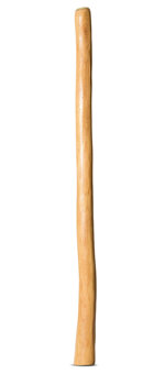Medium Size Natural Finish Didgeridoo (TW1663)